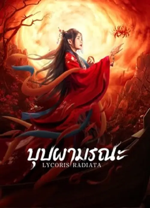 Lycoris Radiata บุปผามรณะ