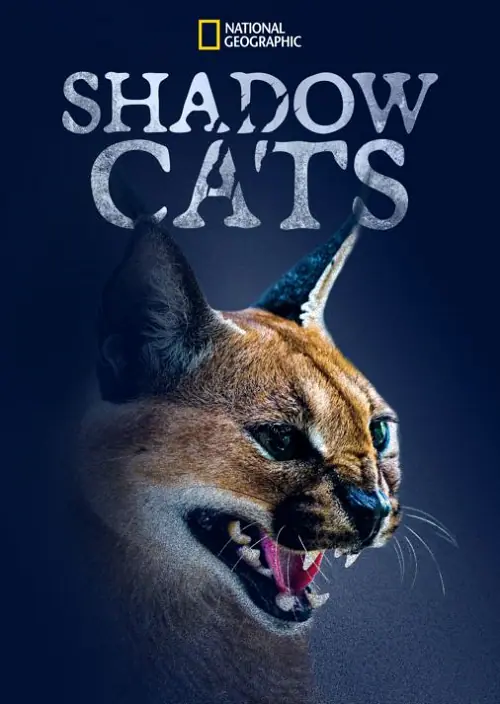 Shadow Cats