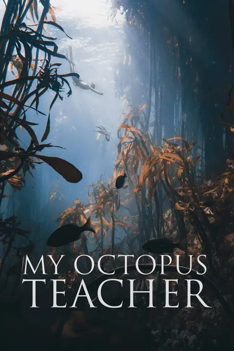 My Octopus Teacher บทเรียนจากปลาหมึก