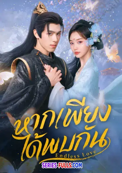 Endless Love หากเพียงได้พบกัน