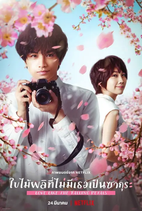 Love Like the Falling Petals (My Dearest, Like a Cherry Blossom) ใบไม้ผลิที่ไม่มีเธอเป็นซากุระ