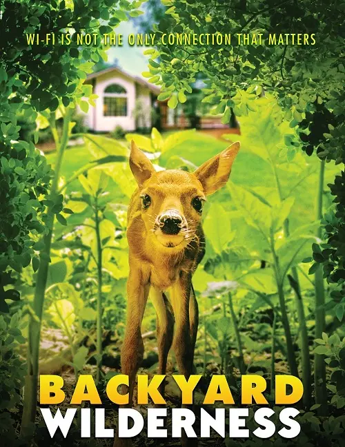 Backyard Wilderness