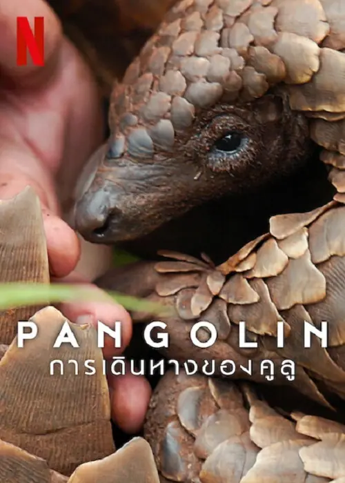 Pangolin Kulu’s Journey การเดินทางของคูลู