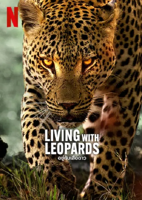 Living with Leopards อยู่กับเสือดาว