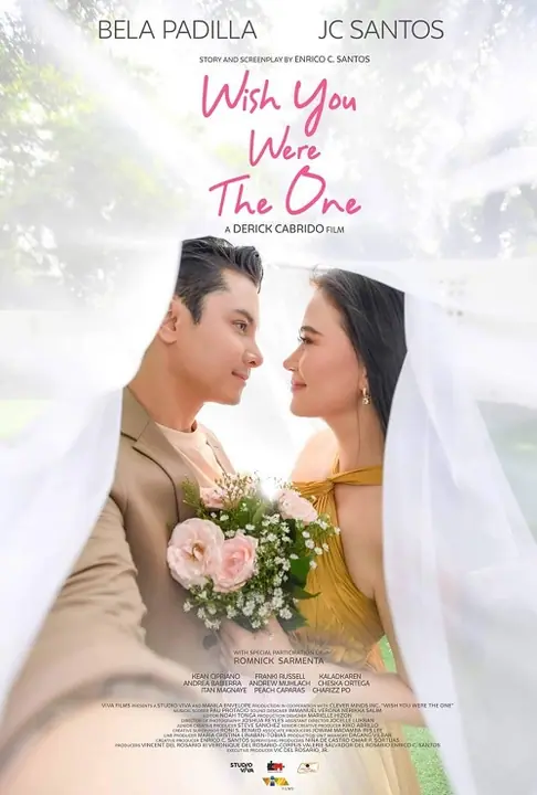 Wish You Were The One อยากให้เธอเป็นคนนั้น