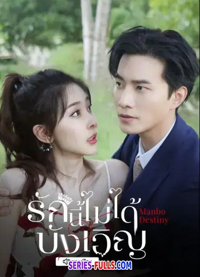 Manbo Destiny รักนี้ไม่ได้บังเอิญ